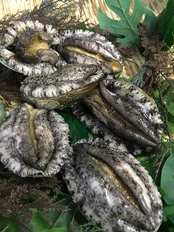 高品質で新鮮な鮑をお届け