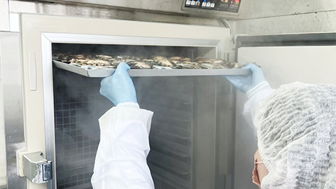 冷凍あわび製造模様