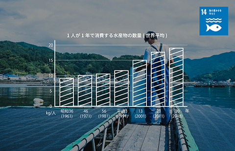 1人が1年で消費する水産物の数量(世界平均)