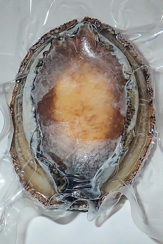 オーストラリア産むきあわび磯煮